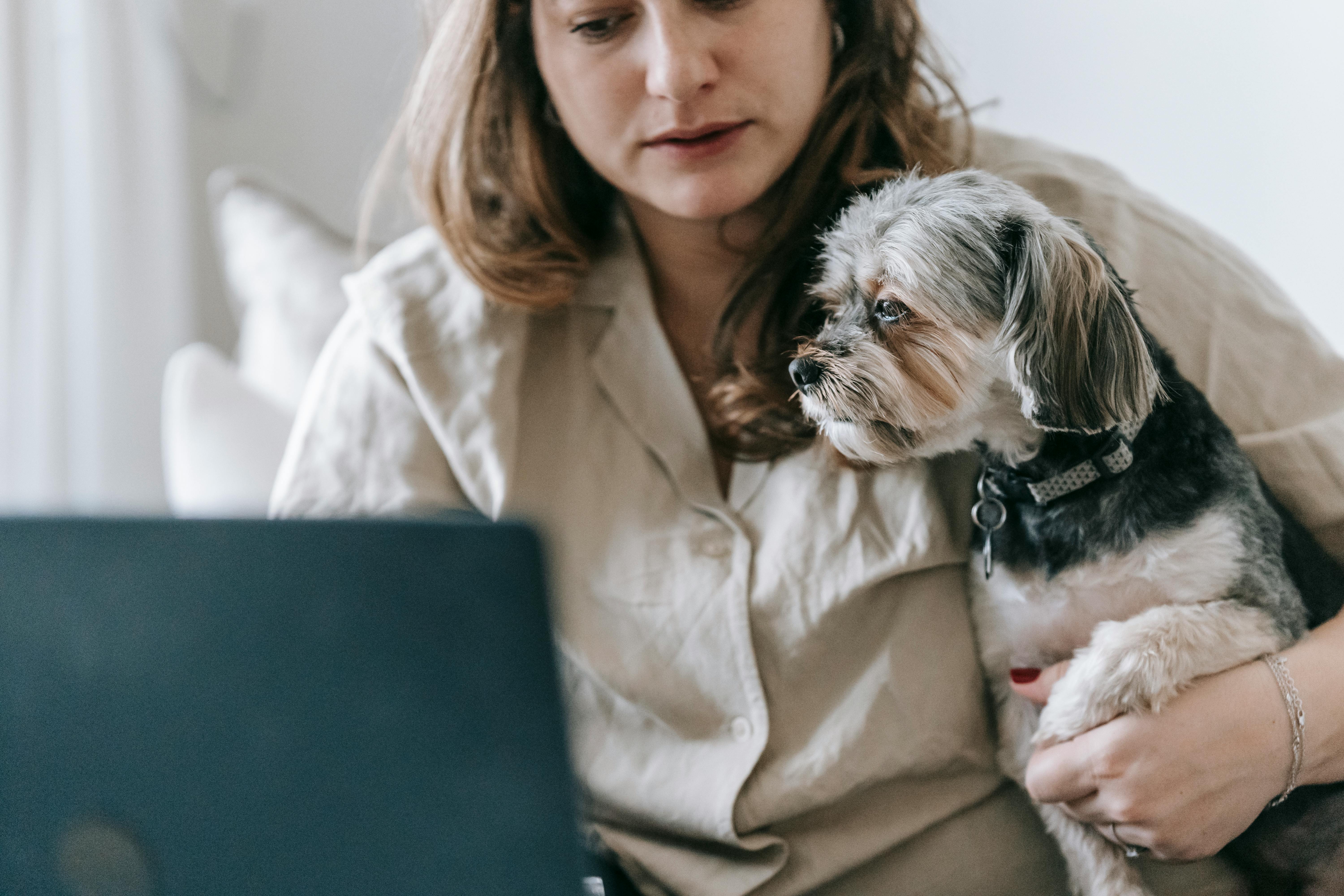 A pet owner sitting with a laptop and a golden retriever beside them, researching UK vet prices and comparing local practices online